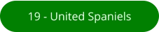 19 - United Spaniels