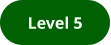 Level 5