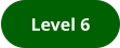 Level 6