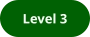 Level 3