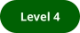 Level 4