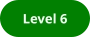 Level 6